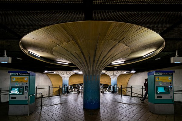 Vivre l'immersion animale : séjourner dans un hôtel proche du zoo de la flèche